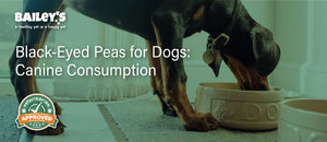 Black-Eyed Peas for Dogs: Canine Consumption - Featured Banner