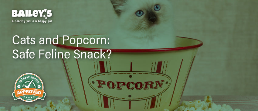 Cats and Popcorn: Safe Feline Snack? - Blog Featured Banner Image