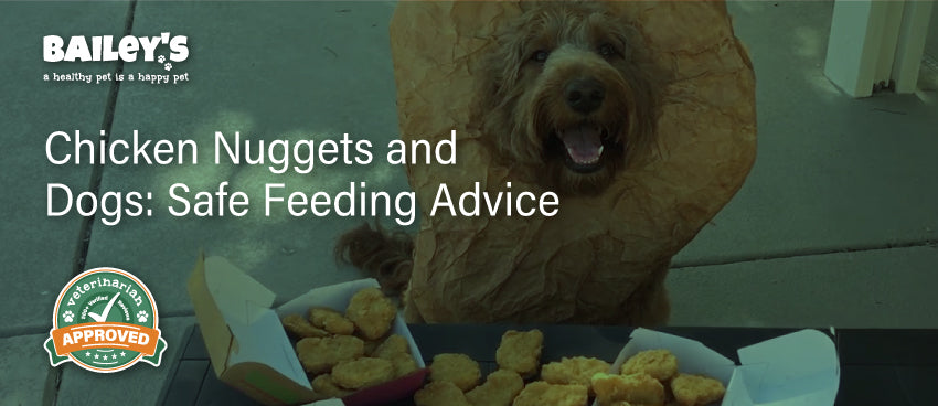 Chicken Nuggets and Dogs: Safe Feeding Advice - Featured Banner