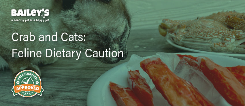 Crab and Cats: Feline Dietary Caution - Blog Featured Banner Image