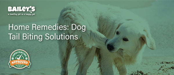 Home Remedies: Dog Tail Biting Solutions - Featured Banner