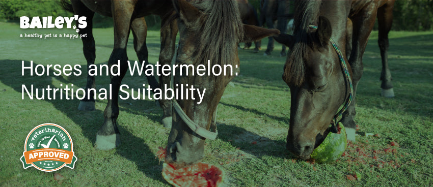 Horses and Watermelon: Nutritional Suitability - Featured Banner