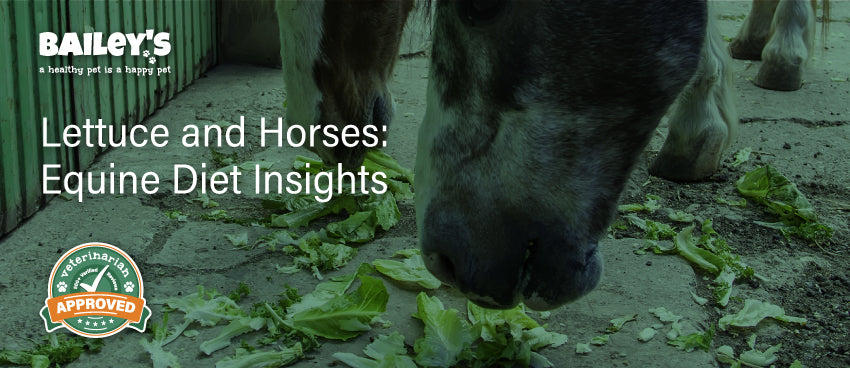 Lettuce and Horses: Equine Diet Insights - Featured Banner