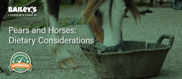 Pears and Horses: Dietary Considerations - Featured Banner
