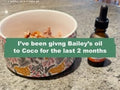 Video testimonial of Bailey's CBD Oil For Dogs created by @coco_the_peekapoo on Instagram