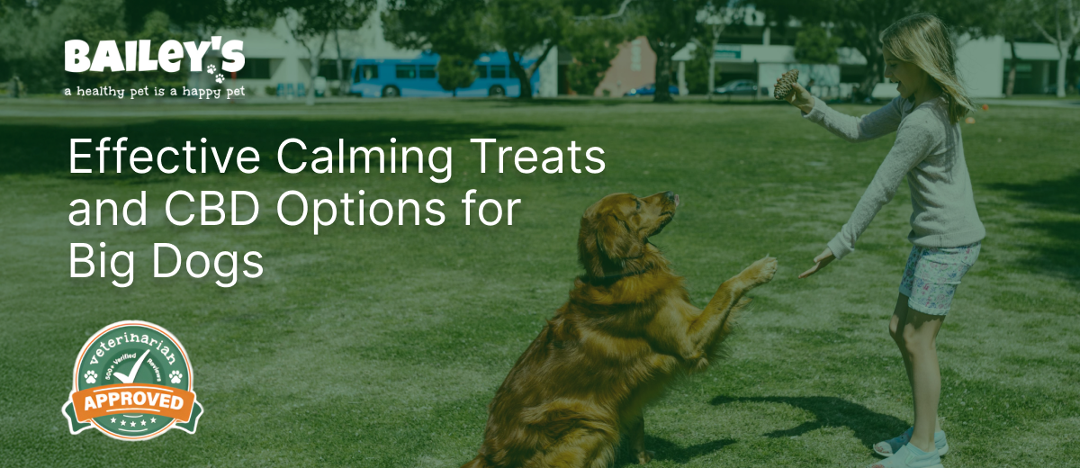 Girl playing with a golden retriever in a park, promoting calming treats and CBD for big dogs.