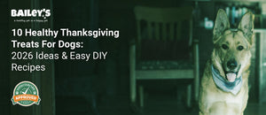 10 Healthy Thanksgiving Treats For Dogs: 2026 Ideas & Easy DIY Recipes - Bailey's CBD featured banner