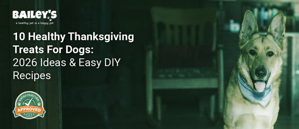 10 Healthy Thanksgiving Treats For Dogs: 2026 Ideas & Easy DIY Recipes - Bailey's CBD featured banner