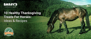 10 Healthy Thanksgiving Treats For Horses: Ideas & Recipes - a brown horse grazing peacefully in a lush green meadow - Bailey's CBD featured banner
