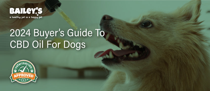 Bailey's 2024 Buyers Guide To CBD Oil For Dogs Featured Banner