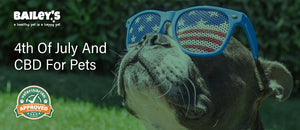 4th Of July And CBD For Pets - Featured Banner