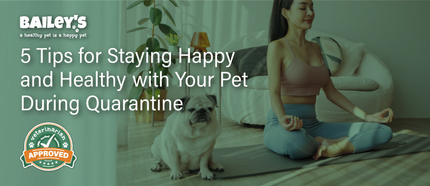 5 Tips for Staying Happy and Healthy with Your Pet During Quarantine. - Featured Banner