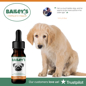 CBD for Pets: How to Keep Your Furry Friend Happy