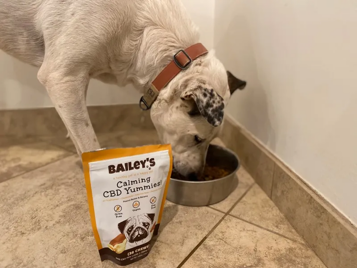 Honest Paws vs Holistapet: CBD Reviews, Cost & Alternatives