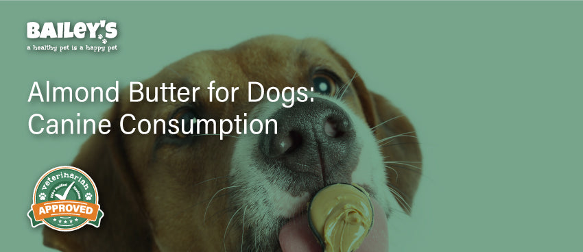 Almond Butter for Dogs: Canine Consumption - Featured Banner
