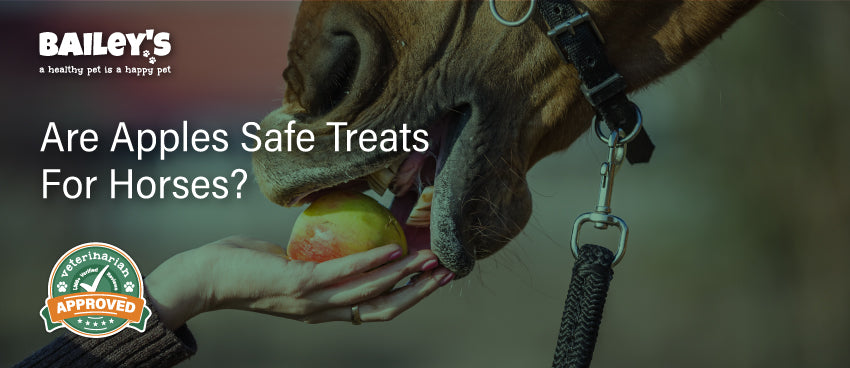 Are Apples Safe Treats For Horses? Learn More In This Guide - Bailey's CBD Blog Banner Image