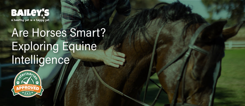Are Horses Smart? Exploring Equine Intelligence