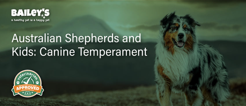 Australian Shepherds and Kids: Canine Temperament