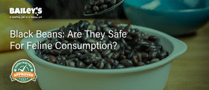 Black Beans: Are They Safe for Feline Consumption? - Featured Banner