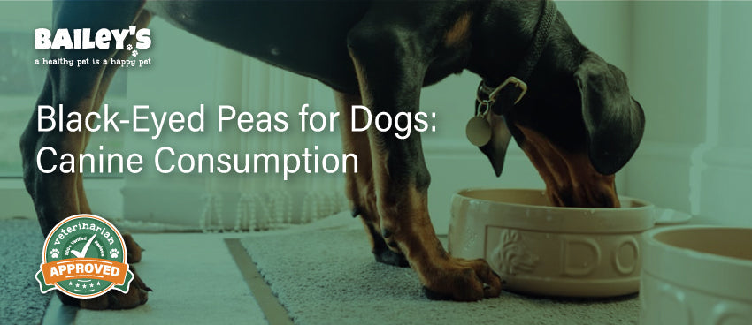 Black-Eyed Peas for Dogs: Canine Consumption - Featured Banner