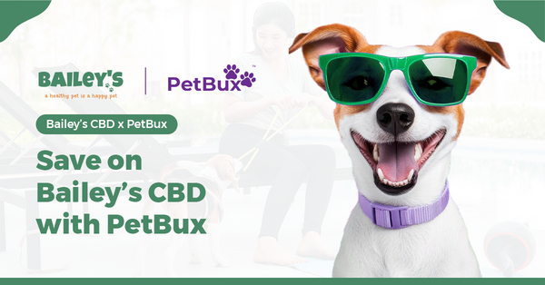 Save on Bailey's CBD products with PetBux - Blog Banner Image