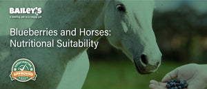 Blueberries and Horses: Nutritional Suitability - Featured Banner