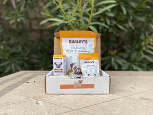 Honest Paws vs ElleVet: CBD Reviews, Cost & Alternatives