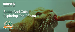 Butter and Cats: Exploring the Effects