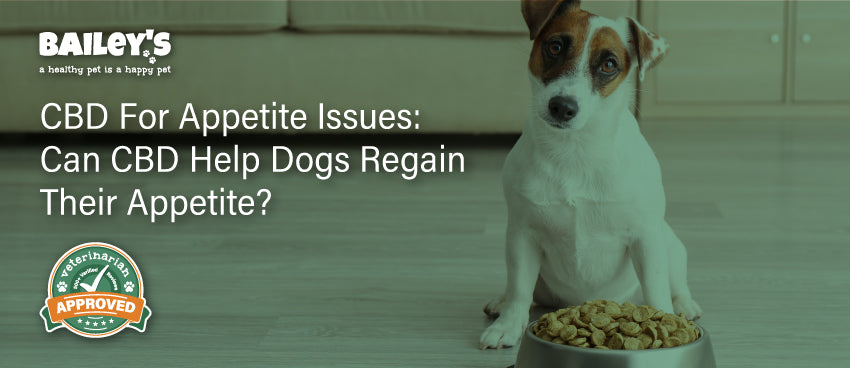 CBD For Appetite Issues: Can CBD Help Dogs Regain Their Appetite? - Featured Banner
