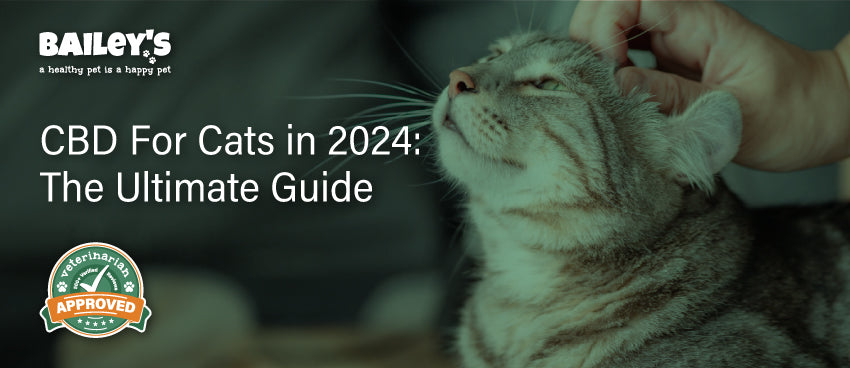 CBD For Cats in 2024: The Ultimate Guide - Featured Banner