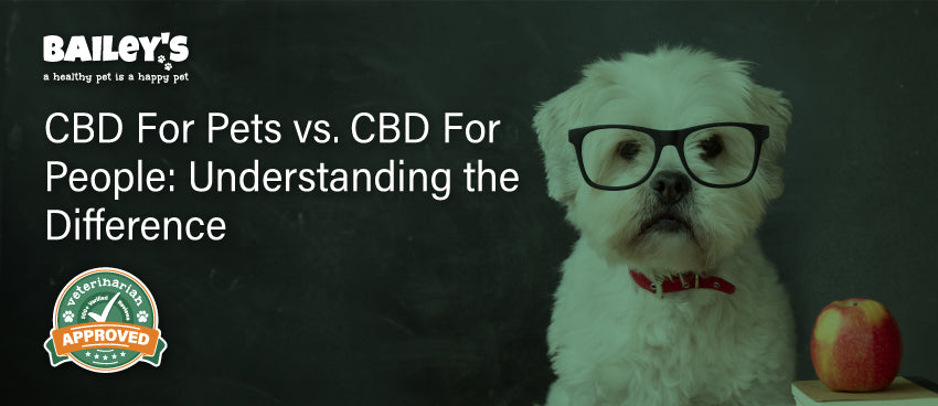CBD For Pets vs. CBD For People: Understanding the Difference - Featured Banner