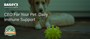 CBD For Your Pet: Daily Immune Support - Featured Banner