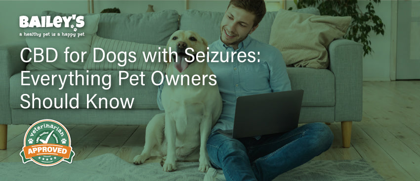 CBD for Dogs with Seizures: Everything Pet Owners Should Know - Featured Banner