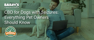 CBD for Dogs with Seizures: Everything Pet Owners Should Know - Featured Banner