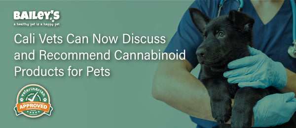 Cali Vets Can Now Discuss and Recommend Cannabinoid Products for Pets - Featured Banner