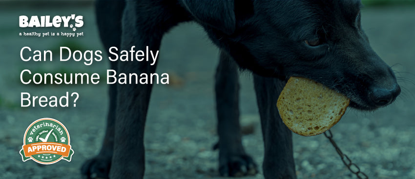 Can Dogs Safely Consume Banana Bread?