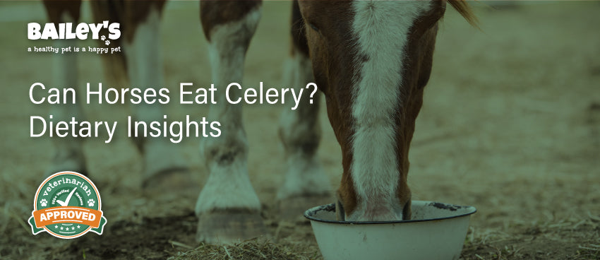 Can Horses Eat Celery? Dietary Insights - Featured Banner