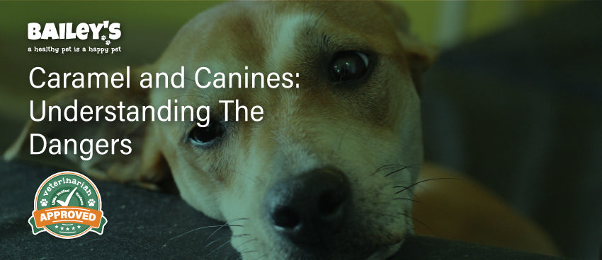 Caramel and Canines: Understanding the Dangers