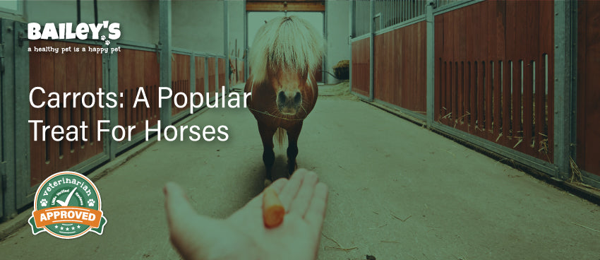 Carrots: A Popular treat for horses