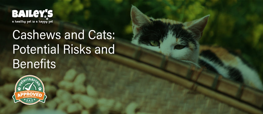 Cashews and Cats: Potential Risks and Benefits