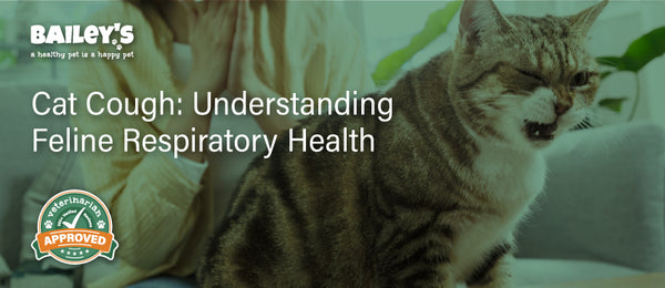 Cat Cough: Understanding Feline Respiratory Health - Featured Banner