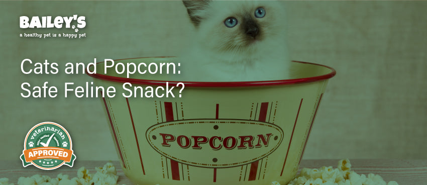 Popcorn for Cats A Safe Snack Bailey s CBD