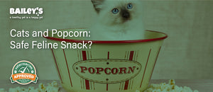 Cats and Popcorn: Safe Feline Snack? - Blog Featured Banner Image