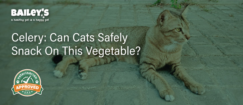 Can Cats Safely Eat Celery Learn the Facts