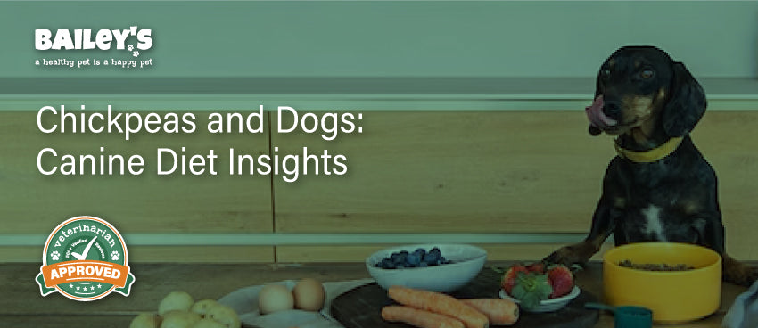 Chickpeas and Dogs: Canine Diet Insights - Featured Banner
