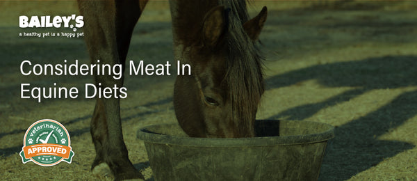 Considering Meat in Equine Diets