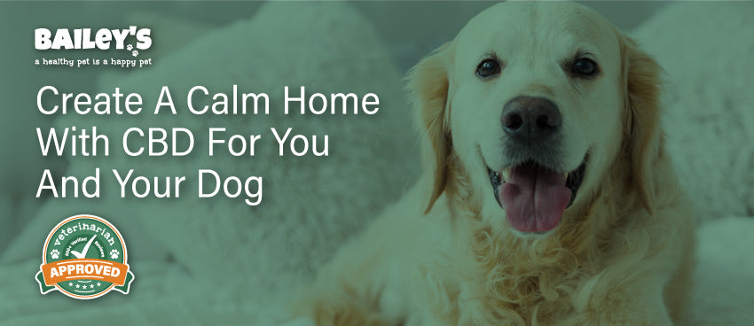 Create A Calm Home With CBD For You & Your Dog - Featured Banner