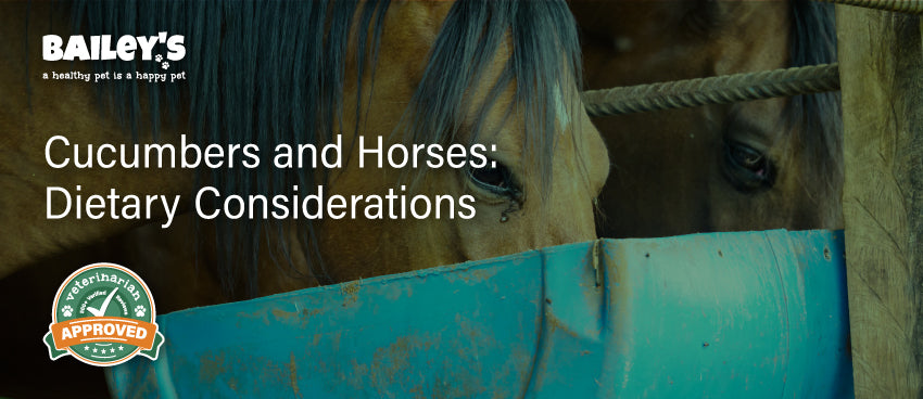 Cucumbers and Horses: Dietary Considerations - Featured Banner