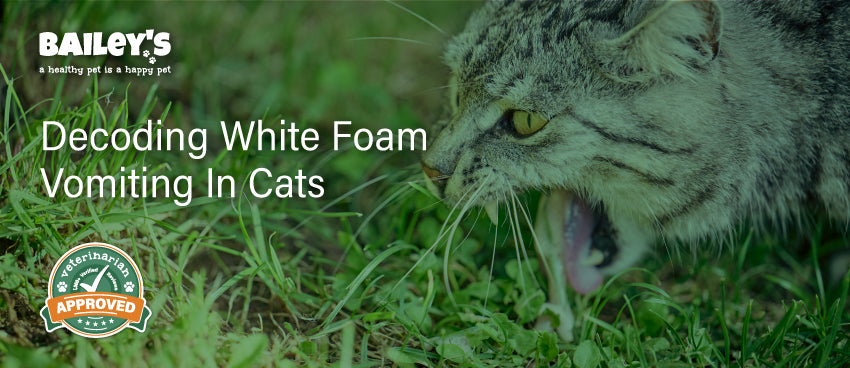 Decoding White Foam Vomiting in Cats