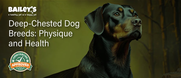 Deep-Chested Dog Breeds: Physique and Health - Featured Banner